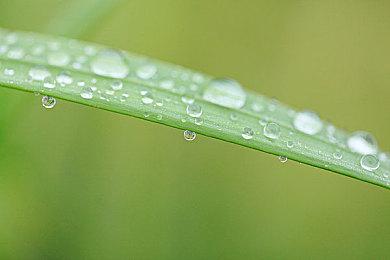 在发行《原子之心》后 Focus又相中了这款中国游戏